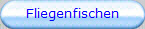 Fliegenfischen